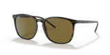 Tortoise / Brown Classic (902/73)