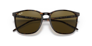 Tortoise / Brown Classic (902/73)