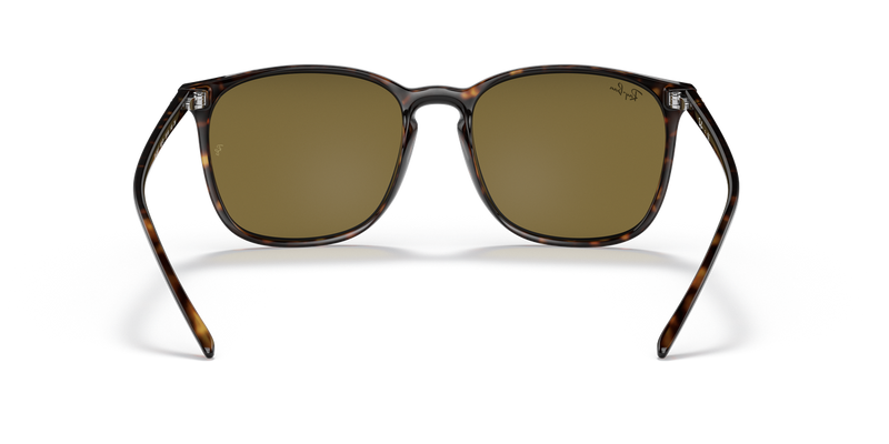 Ray-Ban RB4387F in Tortoise - Alternate View