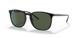 Black / Green (601/71)