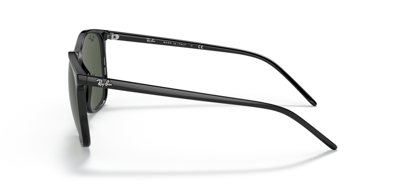 Ray-Ban RB4387 in Black - Back View