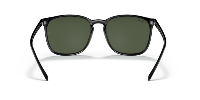 Ray-Ban RB4387 in Black - Temple Detail