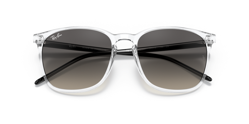 Ray-Ban RB4387 in Transparent - Alternate View