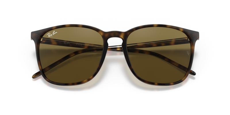 Ray-Ban RB4387 in Light Havana - Alternate View