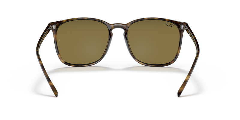 Ray-Ban RB4387 in Light Havana - Alternate View