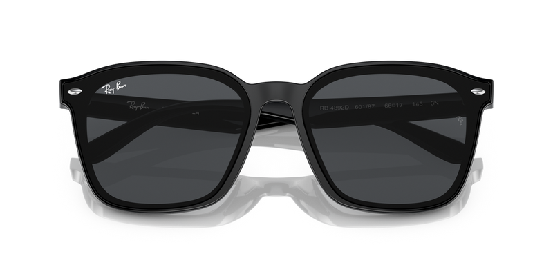 Ray-Ban RB4392D in Black - Alternate View