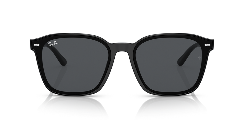 Ray-Ban RB4392D in Black - Alternate View