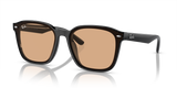 Black / Brown (601/93)