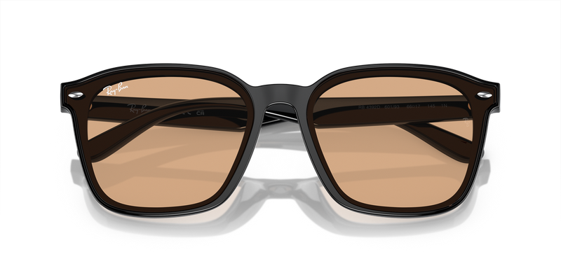 Ray-Ban RB4392D in Black - Alternate View