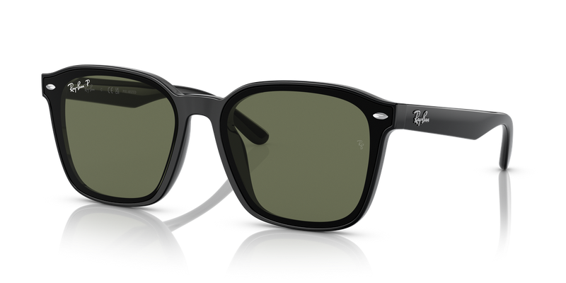 Ray-Ban RB4392D in Black - Alternate View