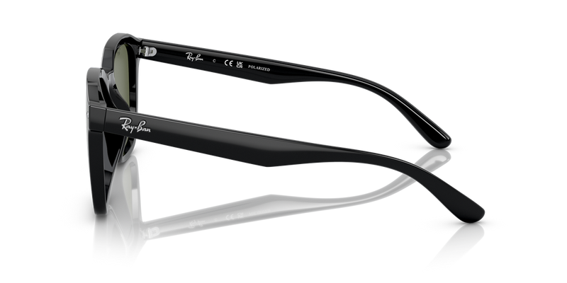 Ray-Ban RB4392D in Black - Alternate View