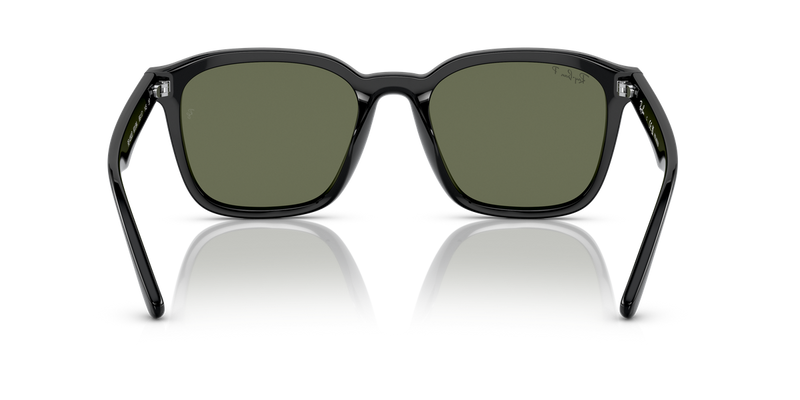 Ray-Ban RB4392D in Black - Alternate View
