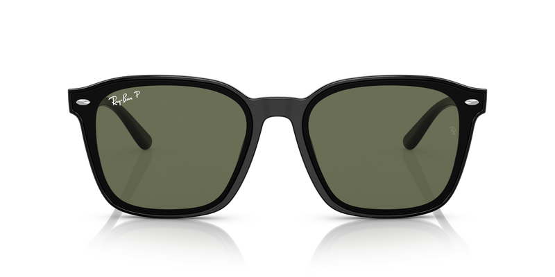 Ray-Ban RB4392D in Black - Alternate View