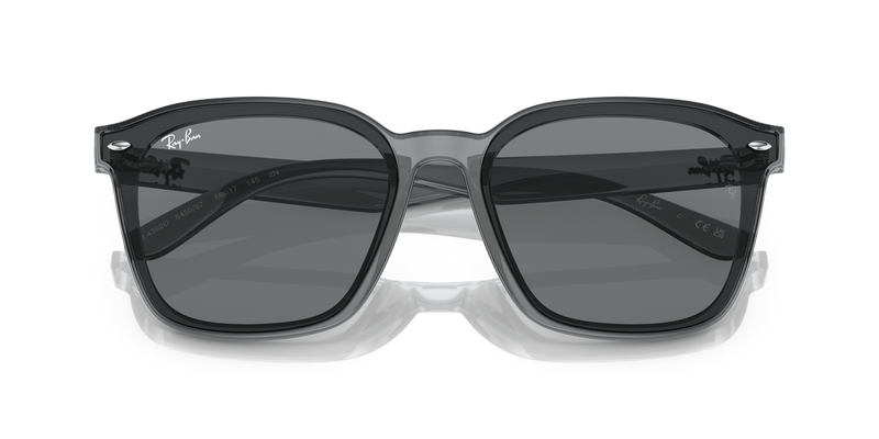 Ray-Ban RB4392D in Transparent Grey - Alternate View