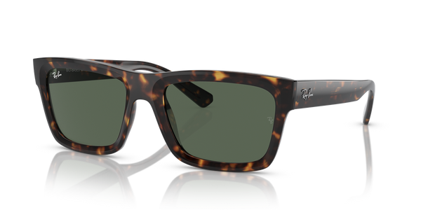 Ray-Ban WARREN