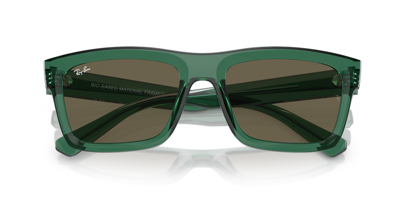 Ray-Ban WARREN in Transparent Green / Brown (6681/3) - Alternate View