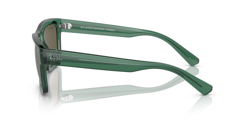 Ray-Ban WARREN in Transparent Green / Brown (6681/3) - Alternate View