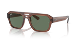 Transparent Brown / Dark Green (667882)