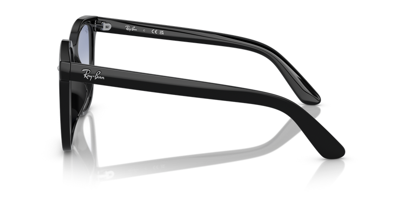 Ray-Ban RB4401D in Black - Back View