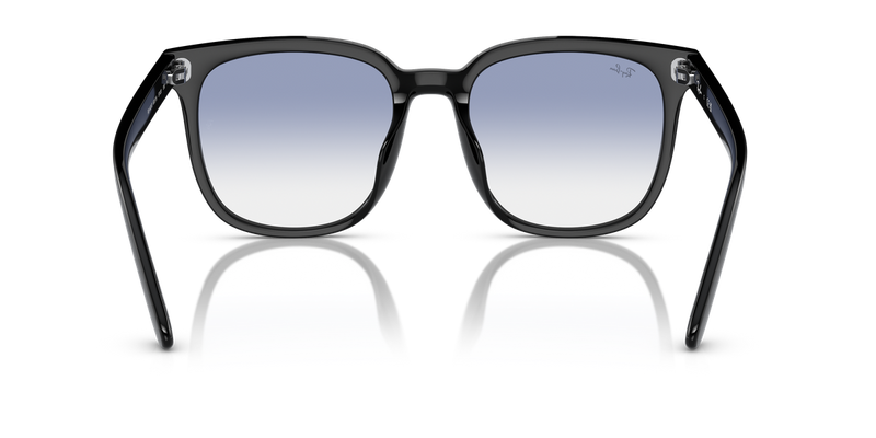 Ray-Ban RB4401D in Black - Temple Detail