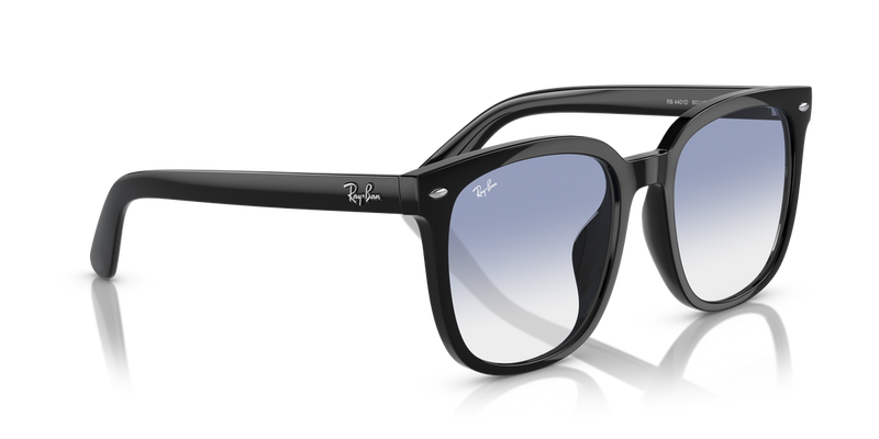 Ray-Ban RB4401D in Black - Alternate View