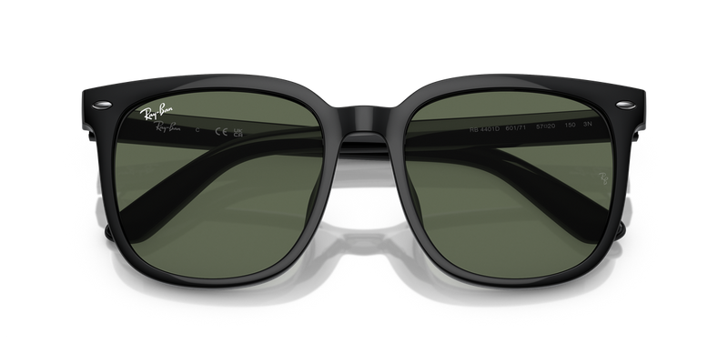 Ray-Ban RB4401D in Black - Alternate View