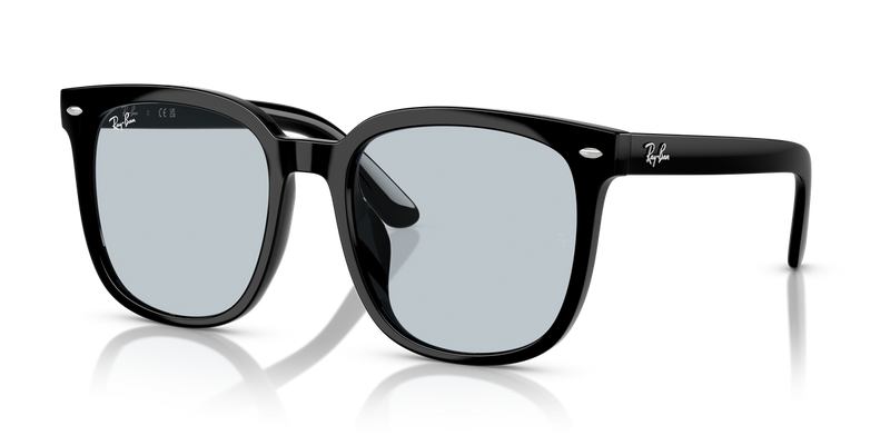 Ray-Ban RB4401D in Black - Alternate View