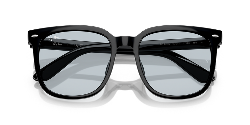 Ray-Ban RB4401D in Black - Alternate View