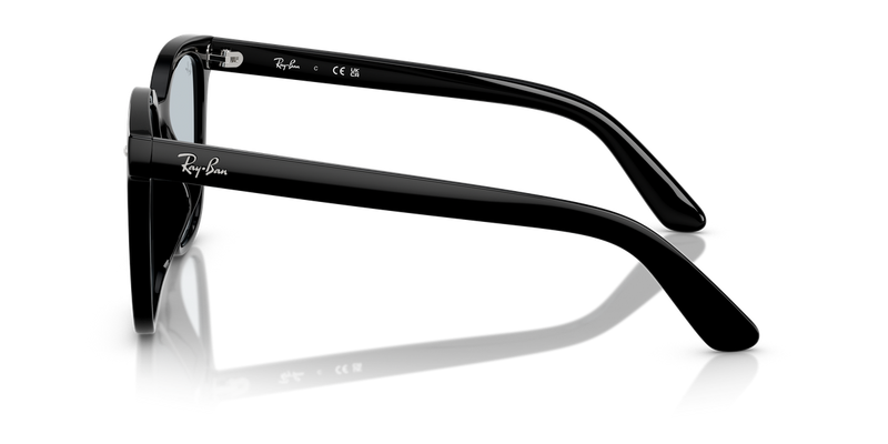 Ray-Ban RB4401D in Black - Alternate View
