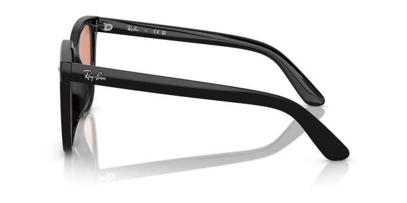 Ray-Ban RB4401D in Black - Alternate View