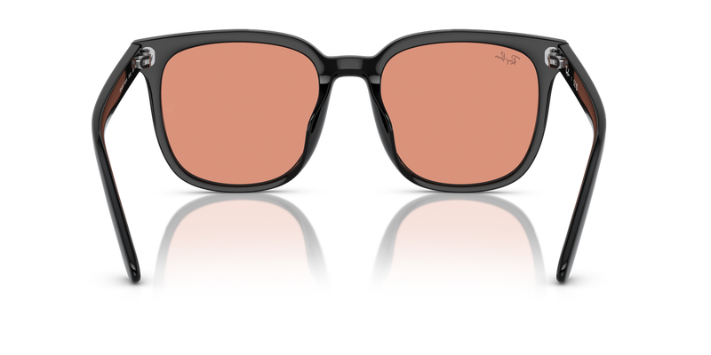 Ray-Ban RB4401D in Black - Alternate View