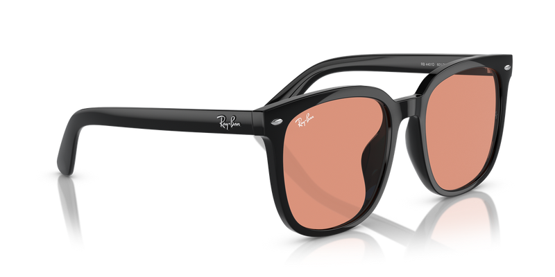 Ray-Ban RB4401D in Black - Alternate View