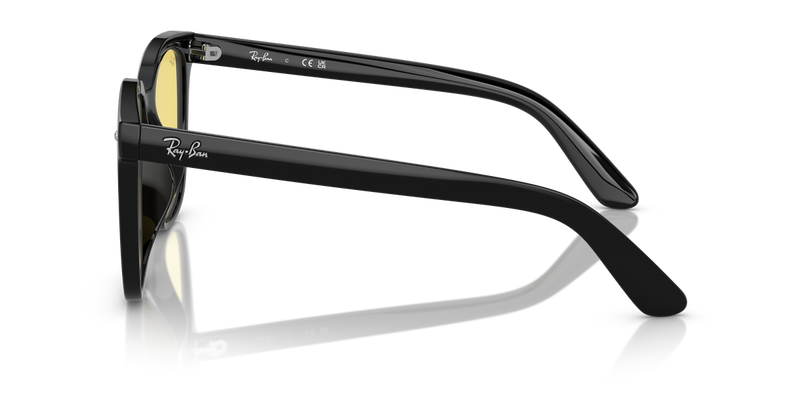 Ray-Ban RB4401D in Black - Alternate View