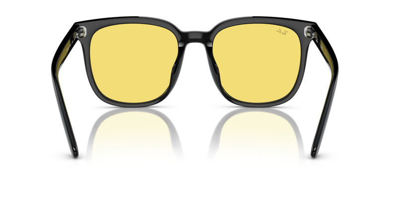 Ray-Ban RB4401D in Black - Alternate View