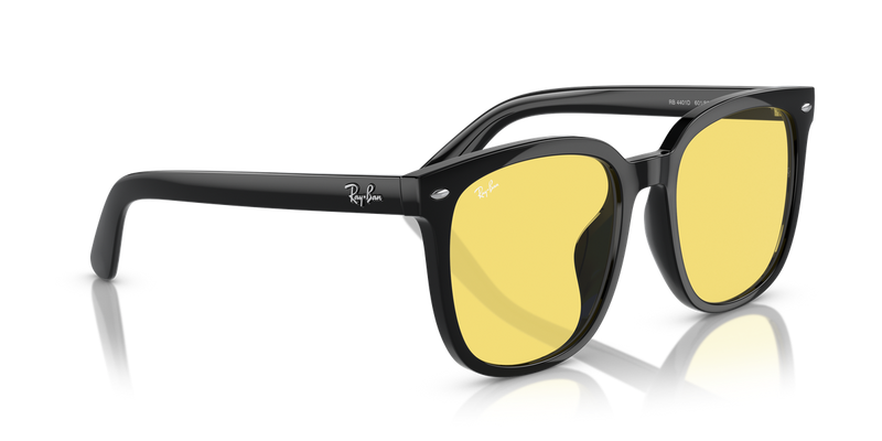 Ray-Ban RB4401D in Black - Alternate View