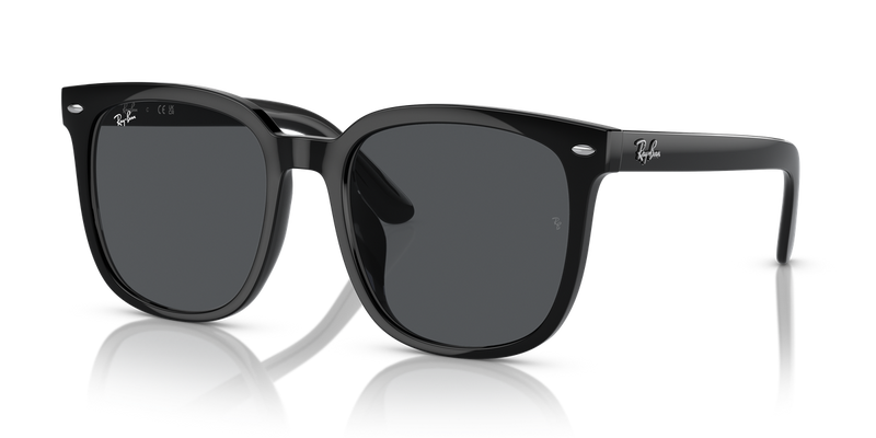 Ray-Ban RB4401D in Black - Alternate View