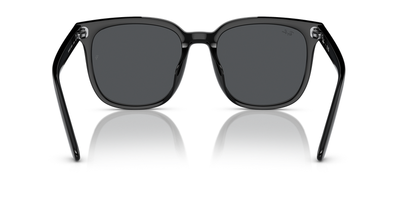 Ray-Ban RB4401D in Black - Alternate View