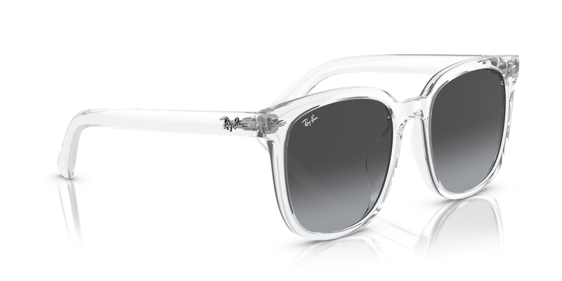 Ray-Ban RB4401D in Transparent - Alternate View