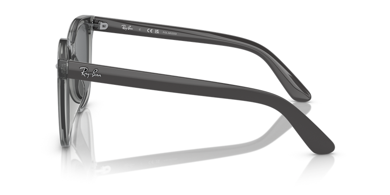 Ray-Ban RB4401D in Transparent Grey - Alternate View