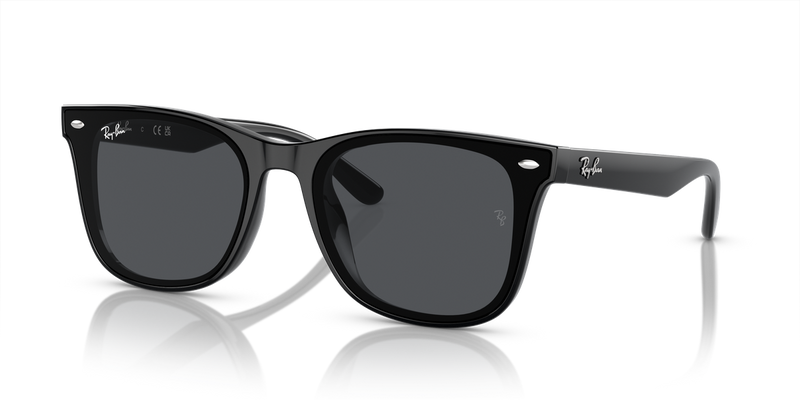 Ray-Ban RB4420 in Black - Alternate View