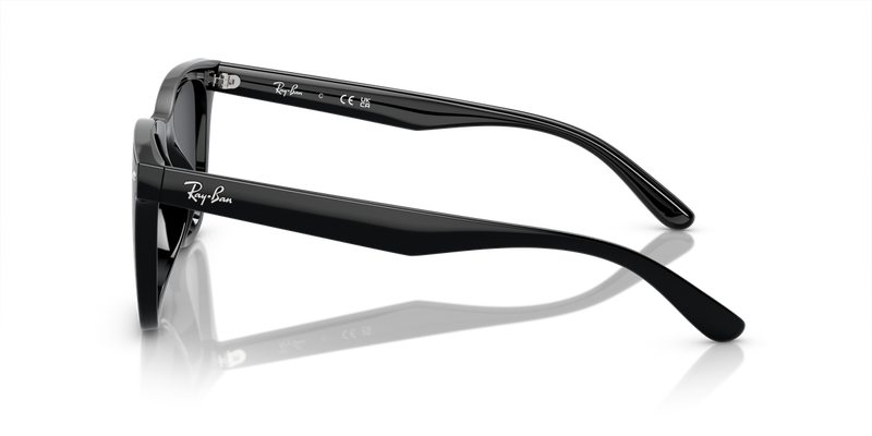 Ray-Ban RB4420 in Black - Alternate View