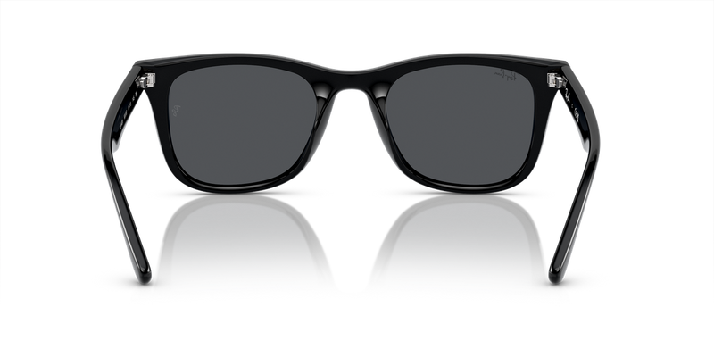 Ray-Ban RB4420 in Black - Alternate View
