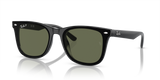 Black / Dark Green Polarized (601/9A)