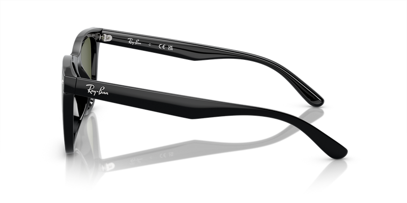Ray-Ban RB4420 in Black - Alternate View