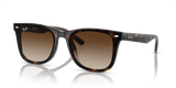 Havana / Brown (710/13)