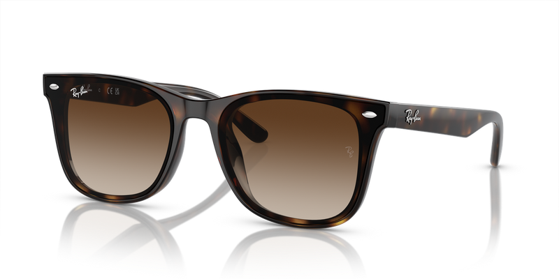Ray-Ban RB4420 in Havana - Alternate View