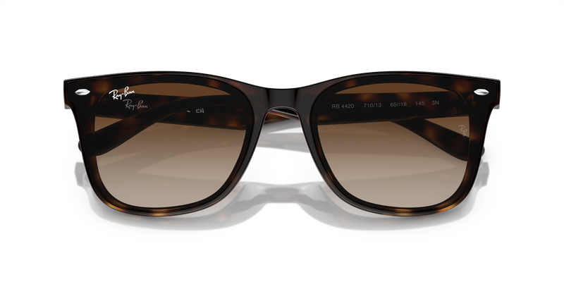 Ray-Ban RB4420 in Havana - Alternate View