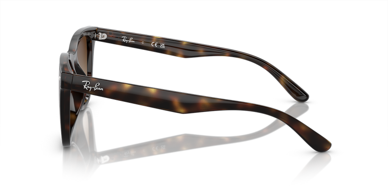Ray-Ban RB4420 in Havana - Alternate View