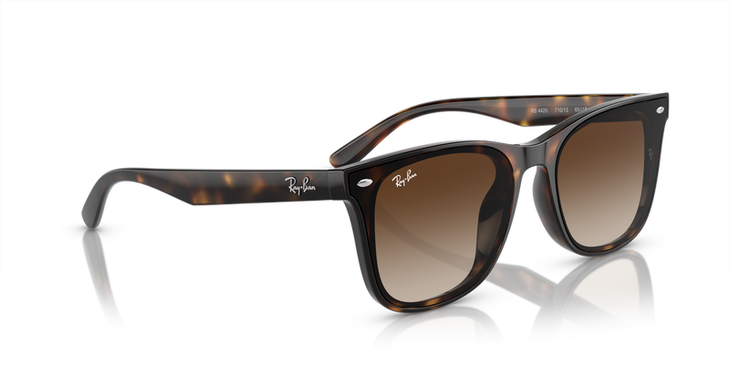 Ray-Ban RB4420 in Havana - Alternate View