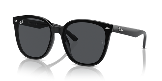 Ray-Ban RB4423D - Black / Dark Grey (601/87)